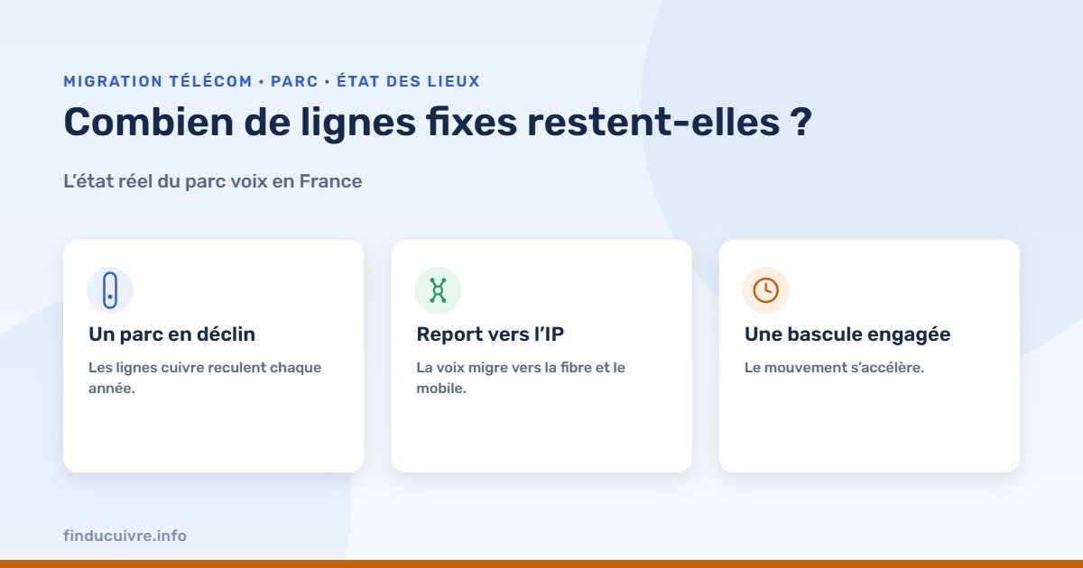 Infographie — l’état du parc des lignes fixes en France