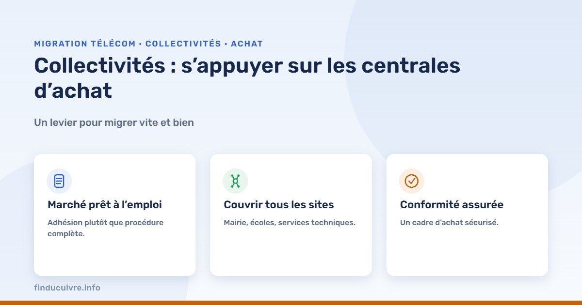Infographie — collectivités : s’appuyer sur les centrales d’achat