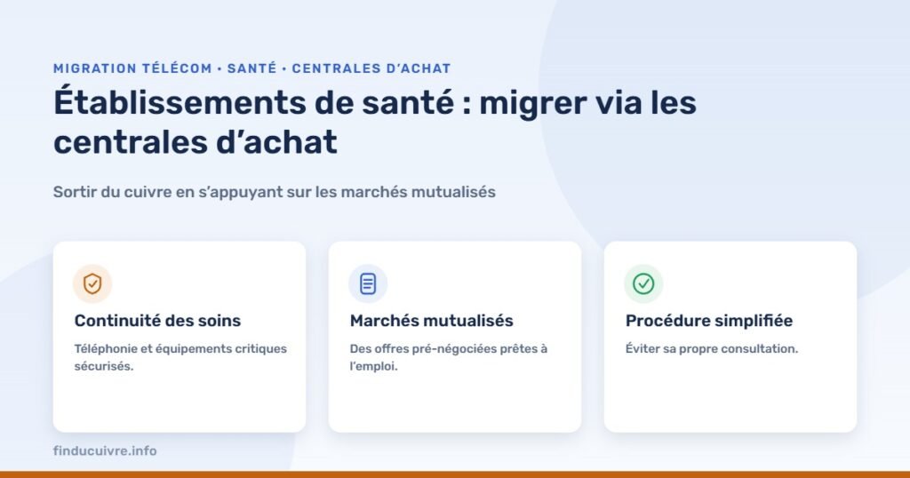 Infographie — Établissements de santé : migrer du cuivre vers l’IP via les centrales d’achat hospitalières