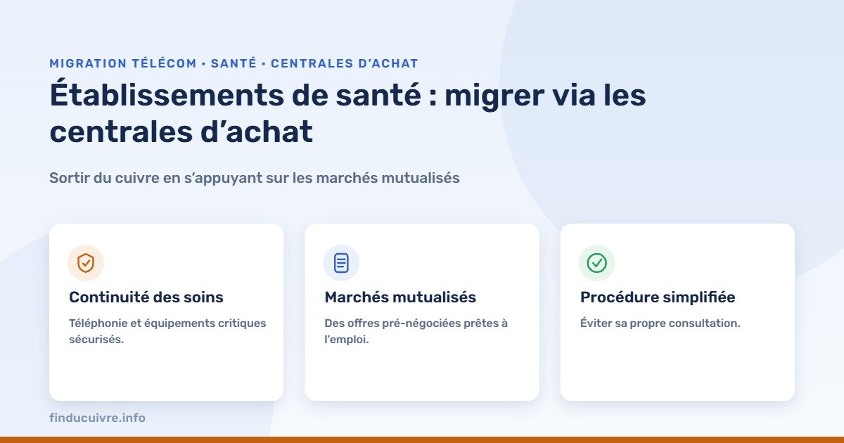 Infographie — établissements de santé : migrer via les centrales d’achat