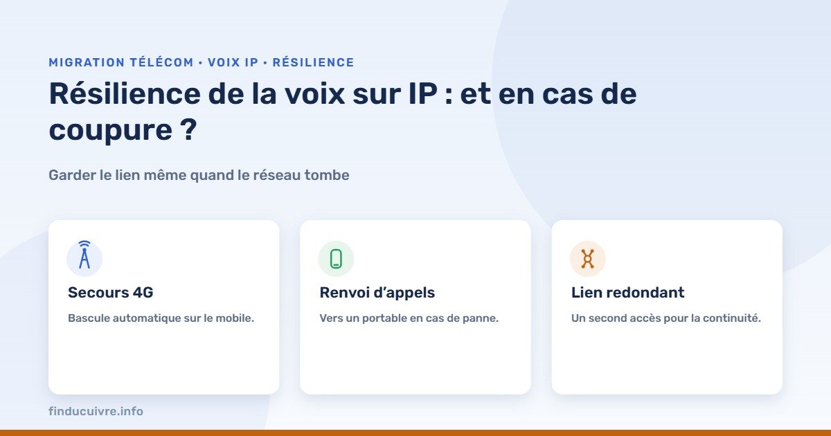 Infographie — résilience de la voix sur IP en cas de coupure