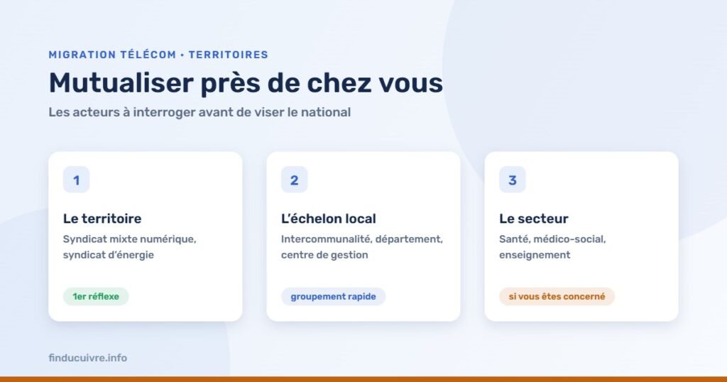 Infographie — Mutualiser son achat télécom : syndicats numériques, échelon local, centrales sectorielles