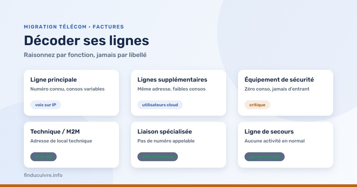 Infographie — Décoder ses lignes analogiques : les six familles fonctionnelles et leur remplacement