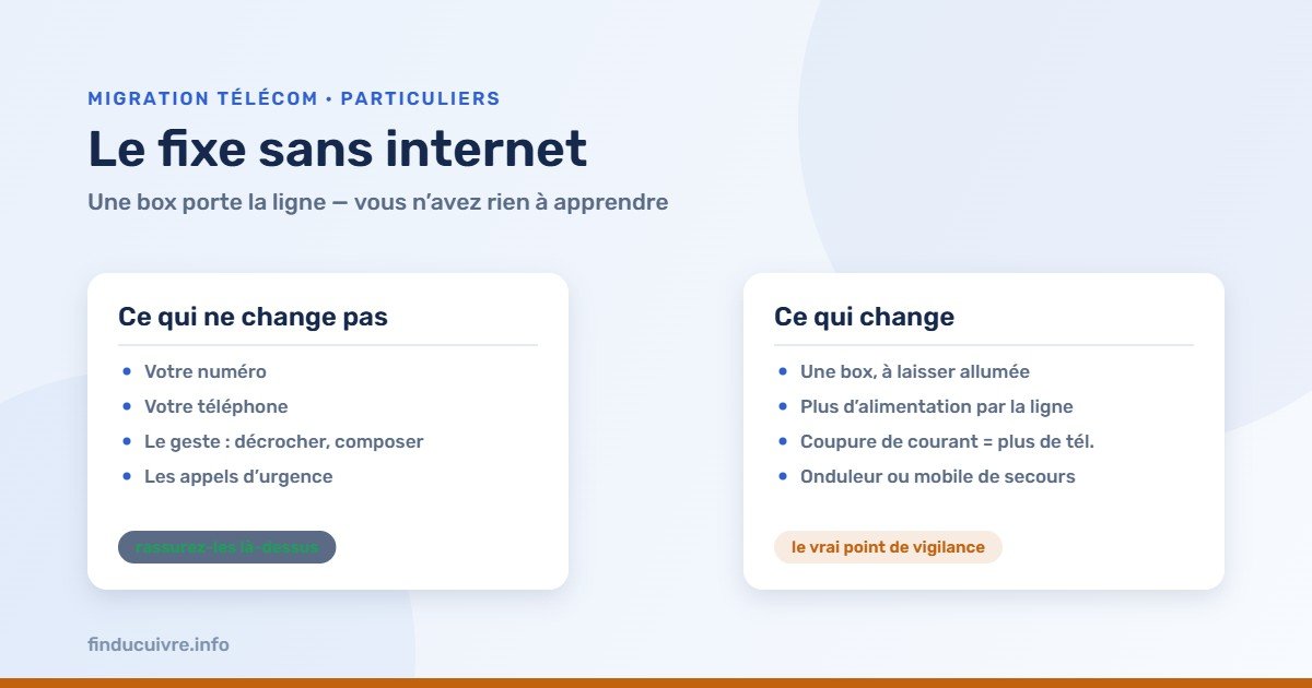 Infographie — Le téléphone fixe sans internet : ce qui ne change pas et ce qui change vraiment