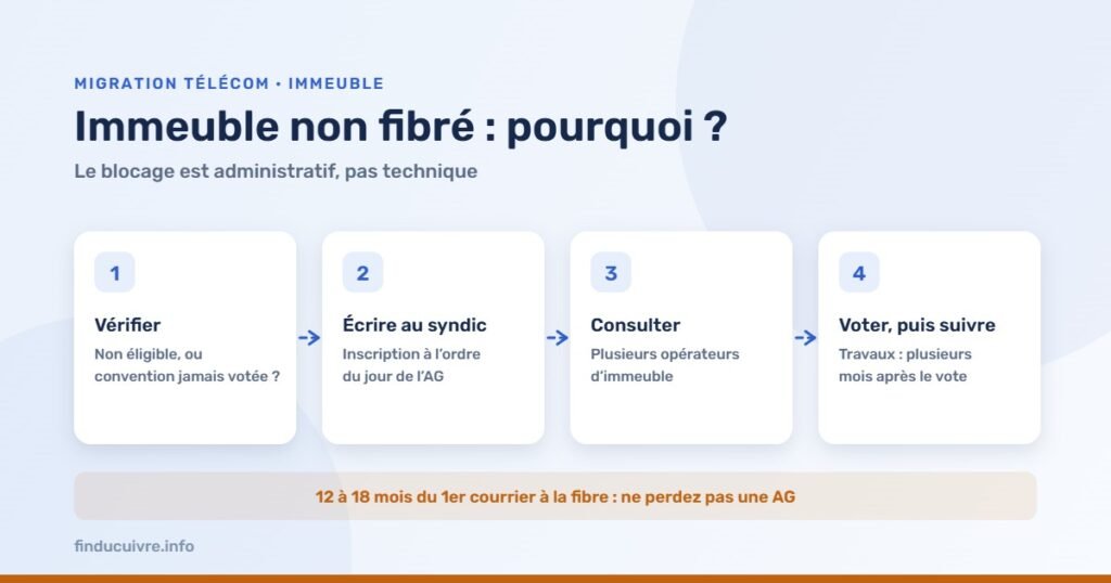 Infographie — Immeuble non fibré : vérifier, écrire au syndic, consulter des opérateurs, faire voter