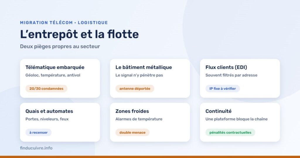 Infographie — Transport et logistique : télématique embarquée, bâtiment métallique, flux clients