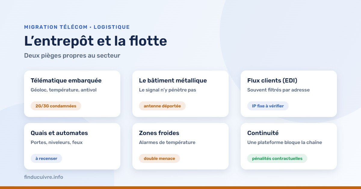 Infographie — Transport et logistique : télématique embarquée, bâtiment métallique, flux clients