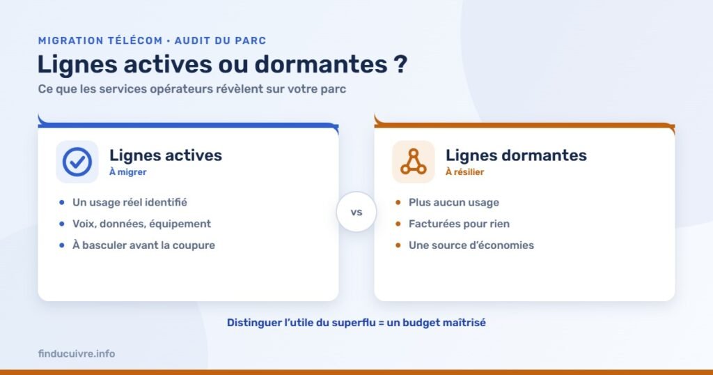 Infographie — Lignes actives ou dormantes ? Les services opérateurs pour auditer son parc avant la fin du cuivre