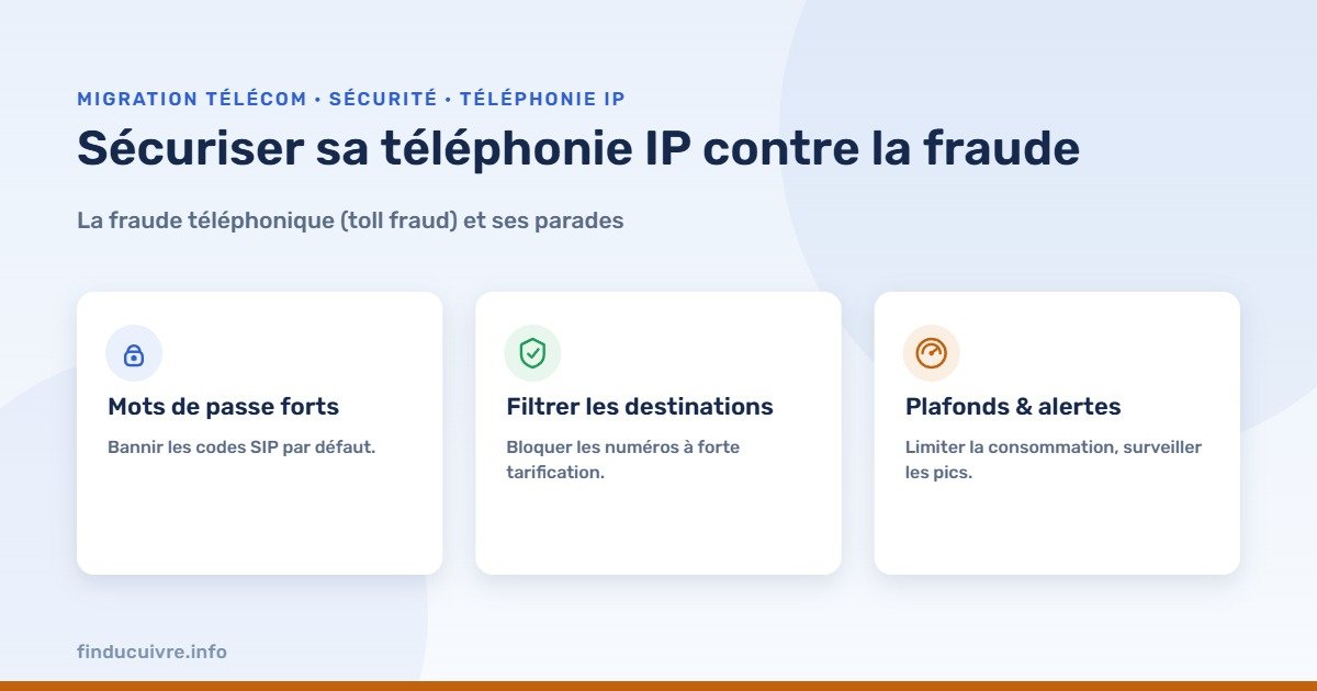 Infographie — sécuriser sa téléphonie IP contre la fraude